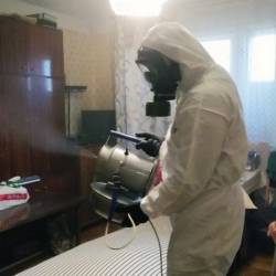 Дезинфекция от клопов в Ломоносове