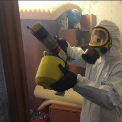 Уничтожение клопов в квартире. Ломоносов